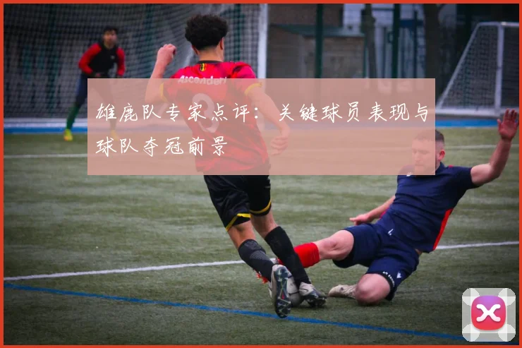 雄鹿队专家点评:关键球员表现与球队夺冠前景