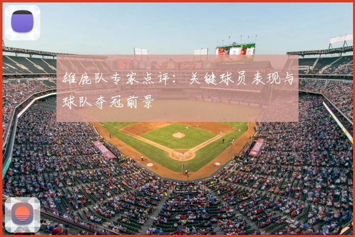 雄鹿队专家点评：关键球员表现与球队夺冠前景
